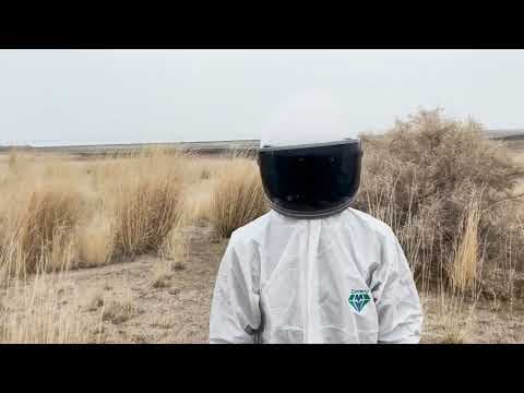 The Astronaut (short film)