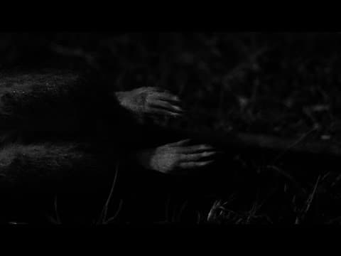 Cadaverous Sonneteer (Trailer)