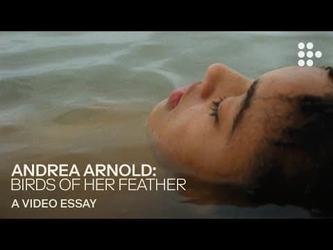 Video essay: “Andrea Arnold: Birds of Her Feather”