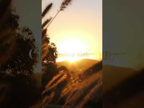 First Teaser for my Poetic Piece ‘Chasing Light’ coming soon to @ChrisPointerFilms0107  #slowlight