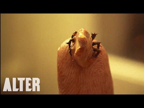 Horror Short Film "Flick" | ALTER