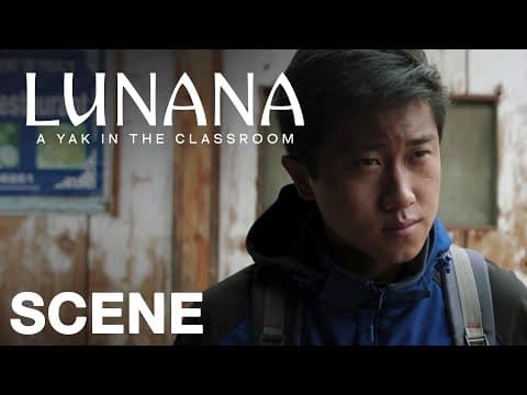 Leaves for Toilet Paper