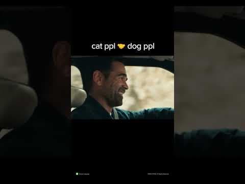 Cat vs Dog People