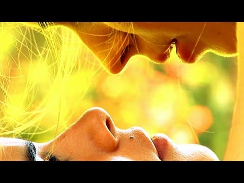 UNIVERSO SERVILLETA / trailer