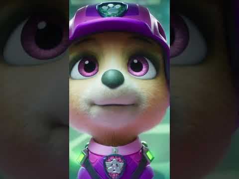 Backstreet Boys On PAW Patrol