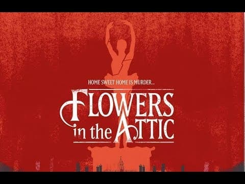 The Arrow Video Story