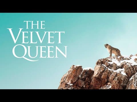 The Velvet Queen - Official Trailer - English Sub Title