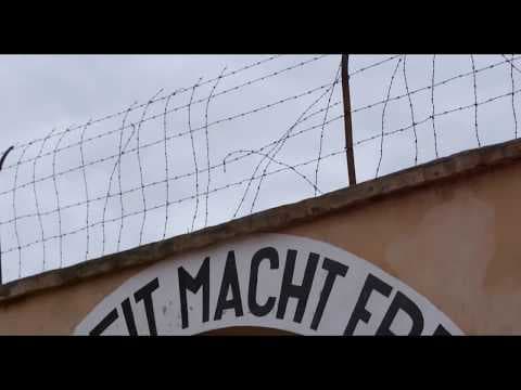 Hitler Versus Picasso (V2 30sec) - in Aus cinemas 7 April