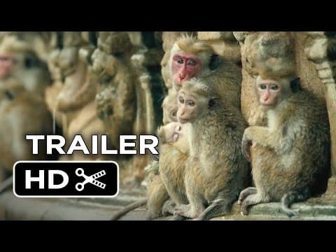 Monkey Kingdom Official Trailer #1 (2015) - Disneynature Documentary HD