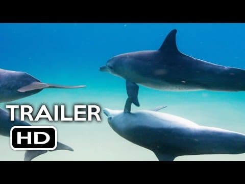 Disneynature's Dolphins Official Trailer #1 (2017) Documentary Movie HD