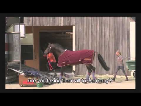 Of Women and Horses / Sport de filles (2012) - Promo reel ENG SUBS