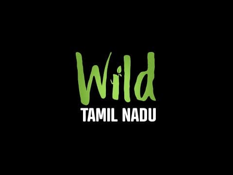 Wild Tamil Nadu | Trailer