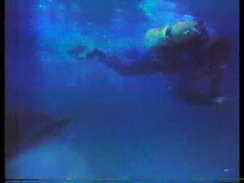 CBS Late Movie promo Mako: The Jaws of Death 1978