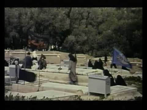 Through the Olive Trees - Trailer