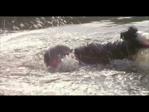 My Nights Are More Beautiful Than Your Days 1989