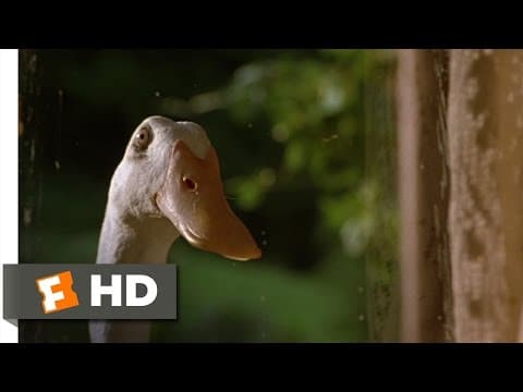 Ferdinand's Secret Mission