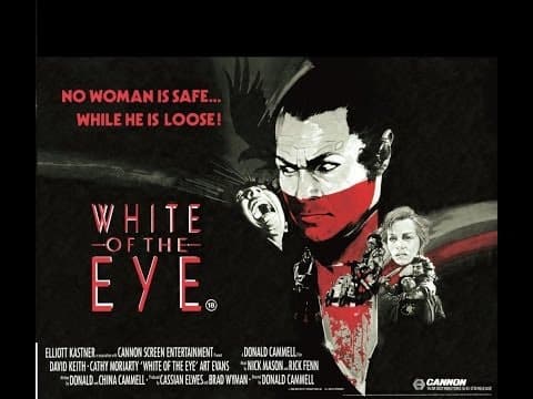 The Arrow Video Story