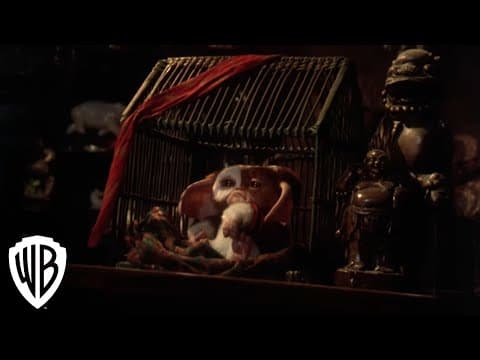 Gremlins 2: The New Batch | Weird Things in Downtown | Warner Bros. Entertainment