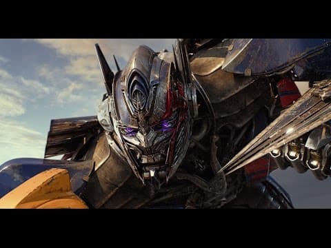 International Trailer