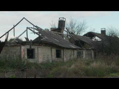 The Babushkas of Chernobyl - Trailer