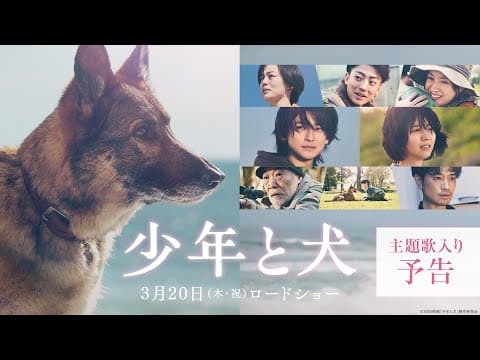 【主題歌 SEKAI NO OWARI「琥珀」】映画『少年と犬』主題歌入り予告映像【3月20日(木・祝)公開】