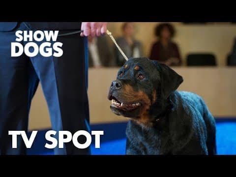 "Partners" TV Spot
