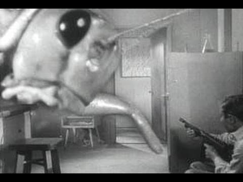 John Sayles on BEGINNING OF THE END