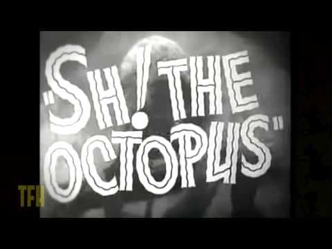 Michael Schlesinger on SH! THE OCTOPUS