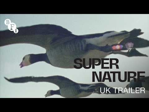 Official UK Trailer