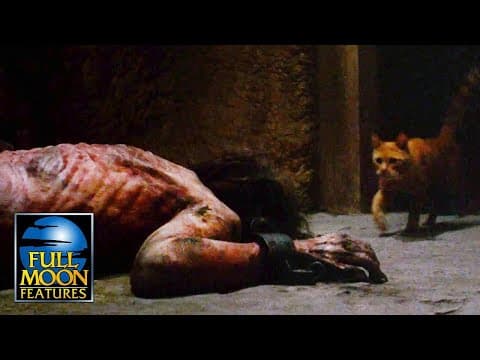 Lost Cat Leads Girl Straight To The Disfigured Prisoner