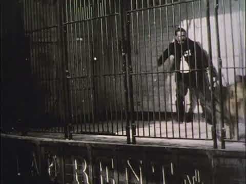 Monsieur Laurent, célèbre dompteur d'animaux féroces (1896-1902)