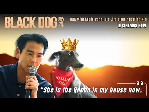 Q&A with Eddie Peng: "Xin is the Queen in my house now."