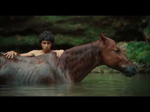 One of the Year’s Most Moving Films