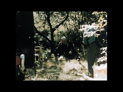 Behind the Scenes of Wild Strawberries