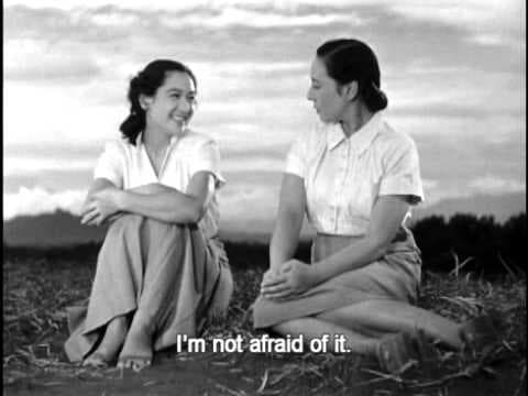 EARLY SUMMER (Bakushū), 1951