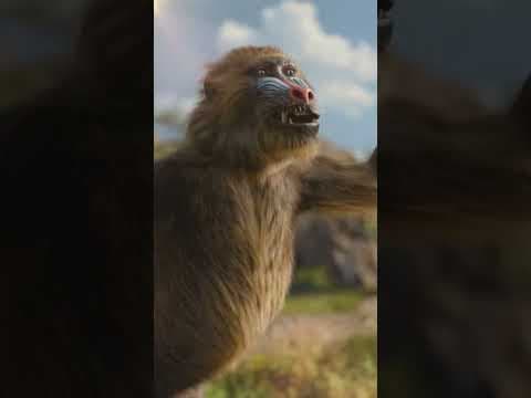 Places to go, kingdoms to see!