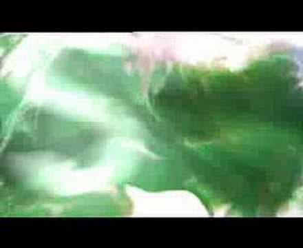 Infection (Trailer - ENG)