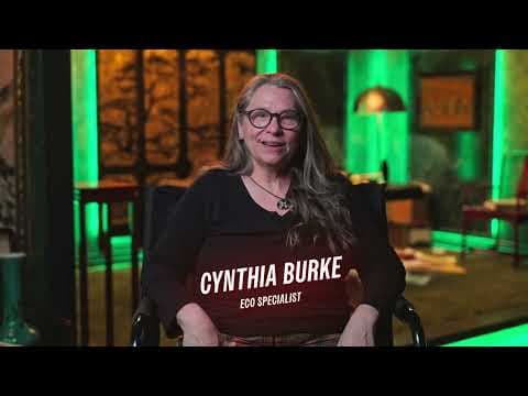 Behind-The-Scenes Sustainability