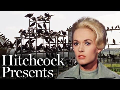 A Gathering Of Crows - The Birds (1963) | Hitchcock Presents