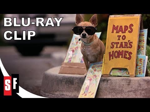 Legally Blonde Collection: Legally Blonde 2 (2003) - Clip: Serious Lawyers Only (HD)