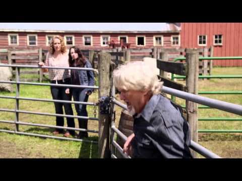 Midnight Stallion - Trailer