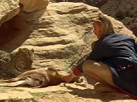 Passion in the Desert - Trailer