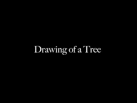Drawing of a Tree [Experimental Final]