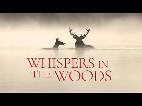 Official Trailer [Subtitled]