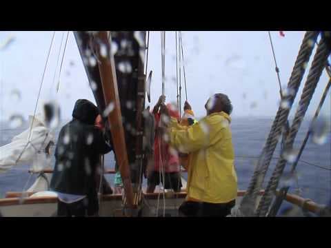 Papa Mau: The Wayfinder (TRAILER)