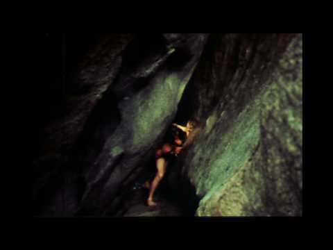 The Creation from Wakefield Poole's Bible