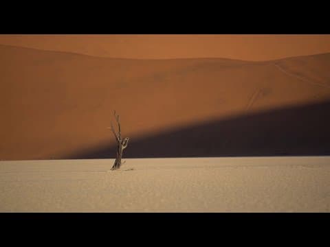 IDFA 2017 | Trailer | In Praise of Nothing