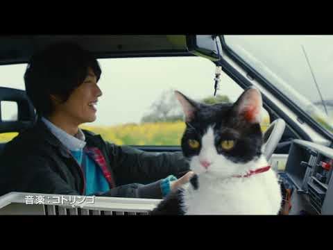 映画『旅猫リポート』特報