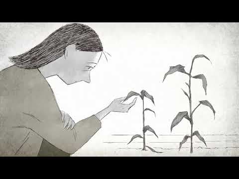 FFF 2020 - Trailer - If Anything Happens I Love You