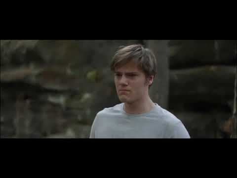 A Fish Swimming Upside Down